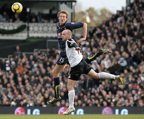 案例证明了 案例证明了