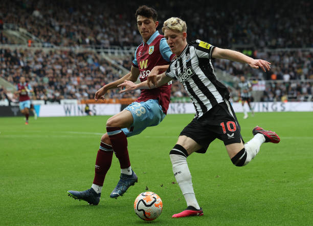 不仅能减轻 不仅能减轻